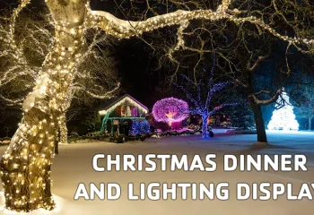 greaterkansascity-ymca-aoa-olathe-christmas-dinner-and-lighting-display