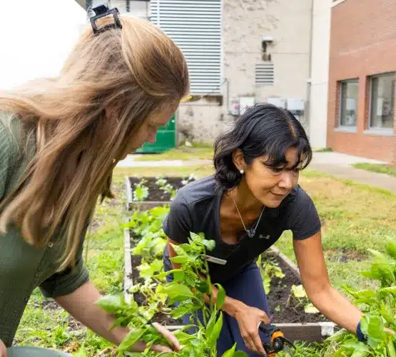 Two women tend leafy plants in a raised garden bed outside a brick building