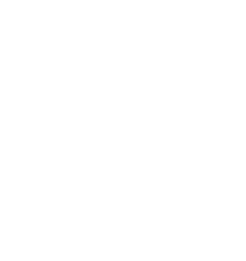 American Flag Icon