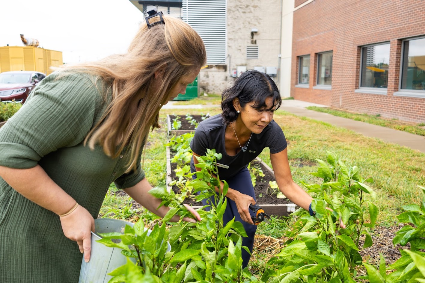 Photo of people gardening at the North Kansas City community garden