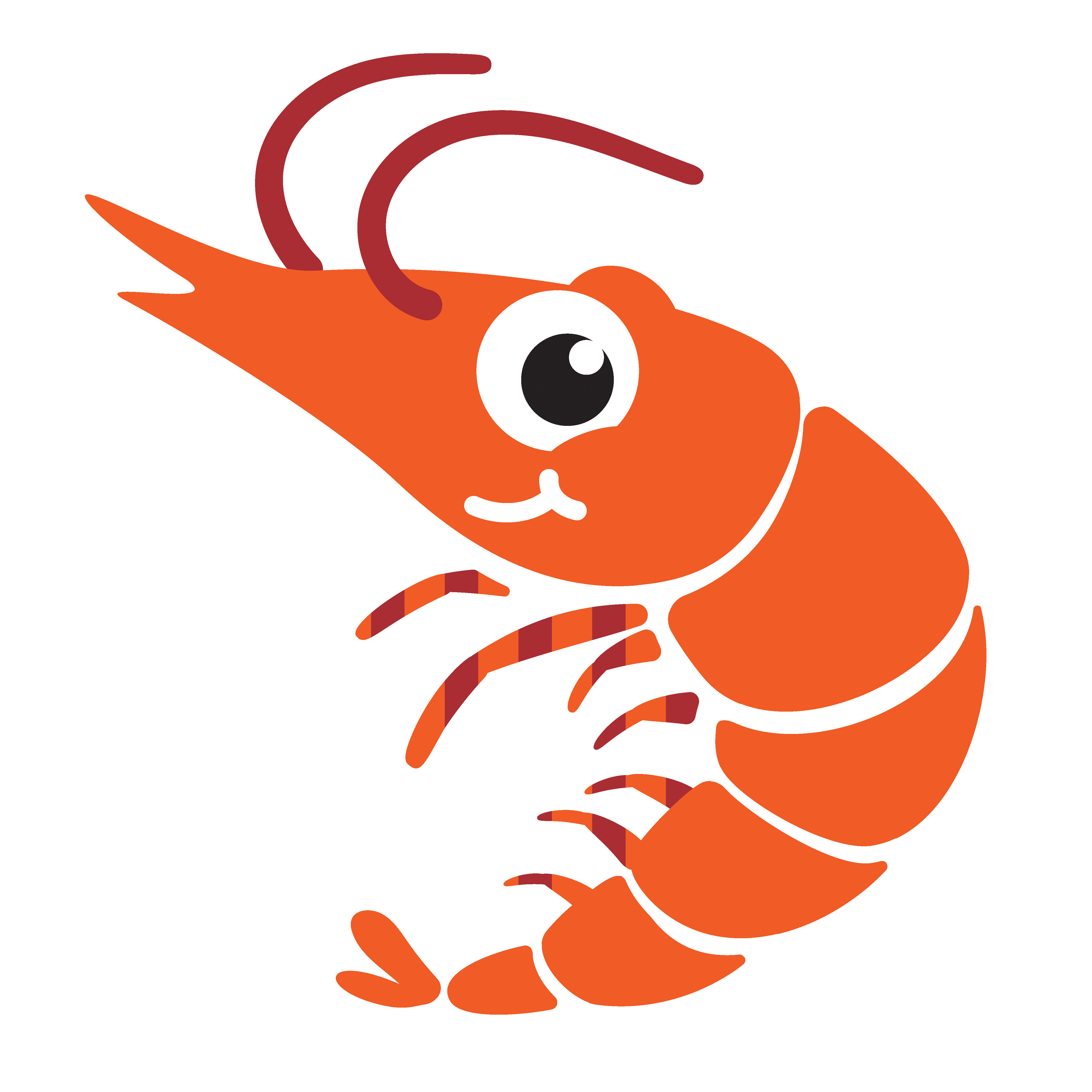 Illustration of shrimp