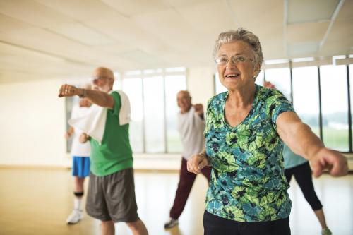 Active Older Adults Social Exercise
